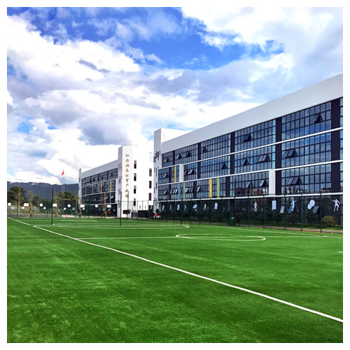 萍乡安源乐源学校人造草足球场